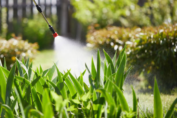 Tamper-Resistant Bait Stations for Rodents in Deep River Center