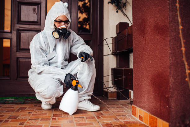 Attic and Crawl Space Rodent Treatment in Deep River Center