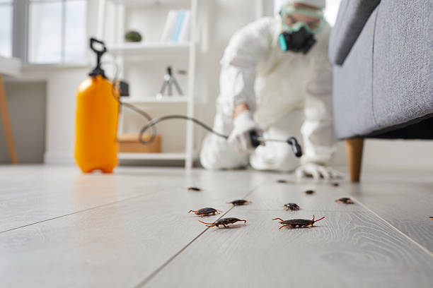 Commercial Rodent Management in Deep River Center